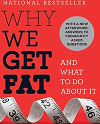 Why we get fat: and What to do about it